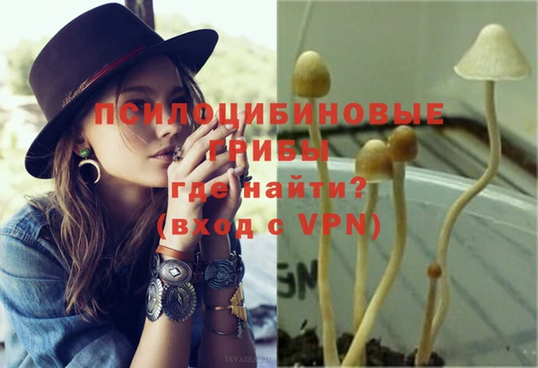 2c-b Протвино
